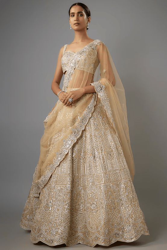 Champagne Organza Lehenga Set