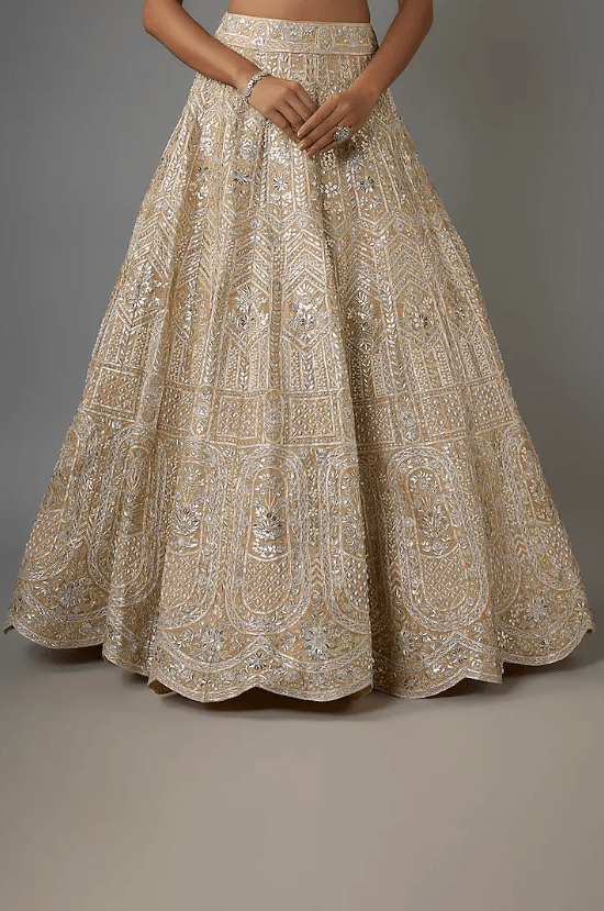 Champagne Organza Lehenga Set - Image 3