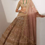 Blush Pink Net Sequins & Nalki Embroidered Lehenga Set