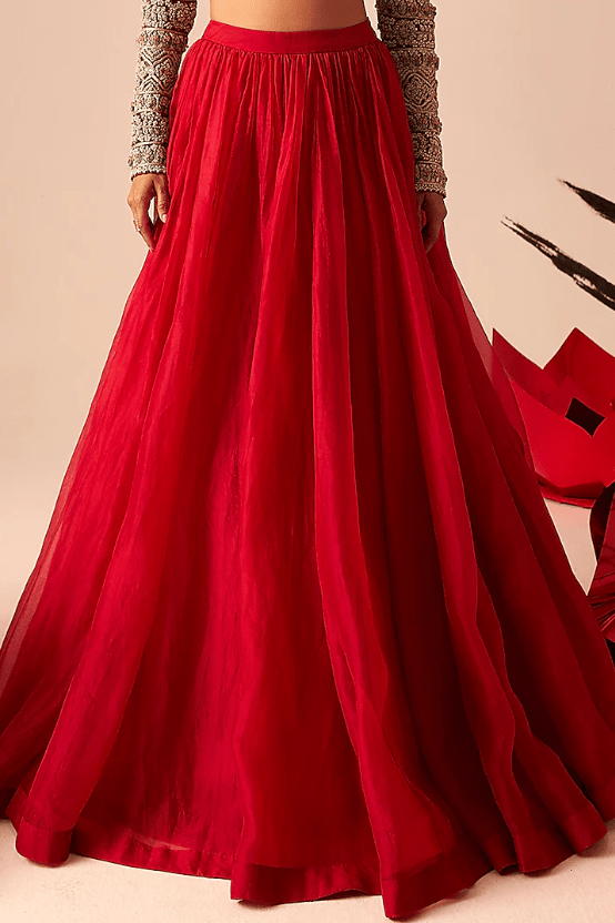 Red Organza & Net Lehenga Set - Image 3