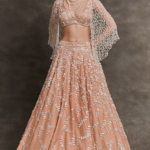 Peach Pink Net Leaf Embroidered Lehenga Set