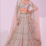 Powder Peach Raw Silk Zari Embroidered Lehenga Set
