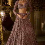 Plum Net Crystal Embroidered Lehenga Set