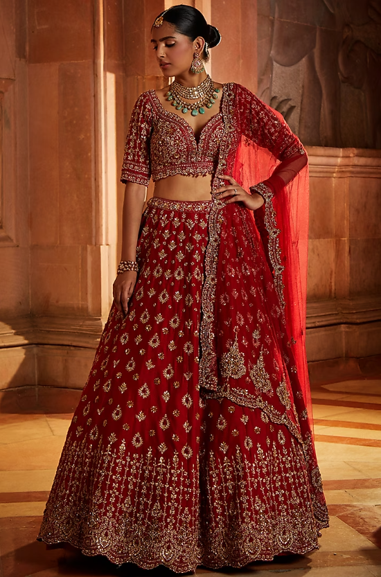 Blood Red Raw Silk Zari Embroidered Lehenga Set