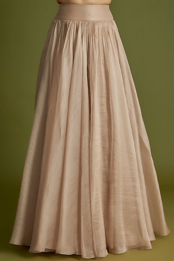 Champagne Organza Lehenga Set - Image 3