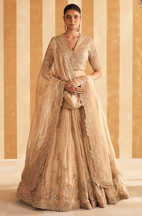 Gold Tissue Embroidered Lehenga Set