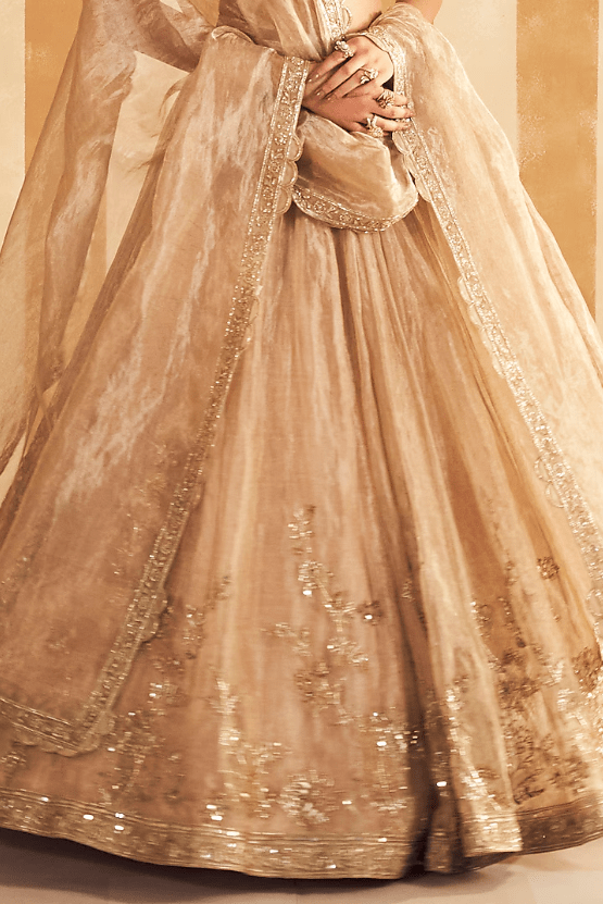 Gold Tissue Embroidered Lehenga Set - Image 3