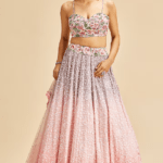 Blush Pink & Lilac Georgette Embroidered Shaded Lehenga Se