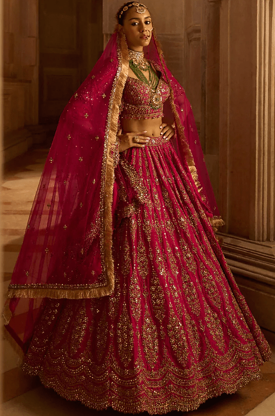 Fuchsia Red Raw Silk Zardosi Embroidered Lehenga Set