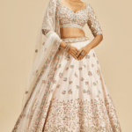 Blush Pink Raw Silk Resham Embroidered Lehenga Set