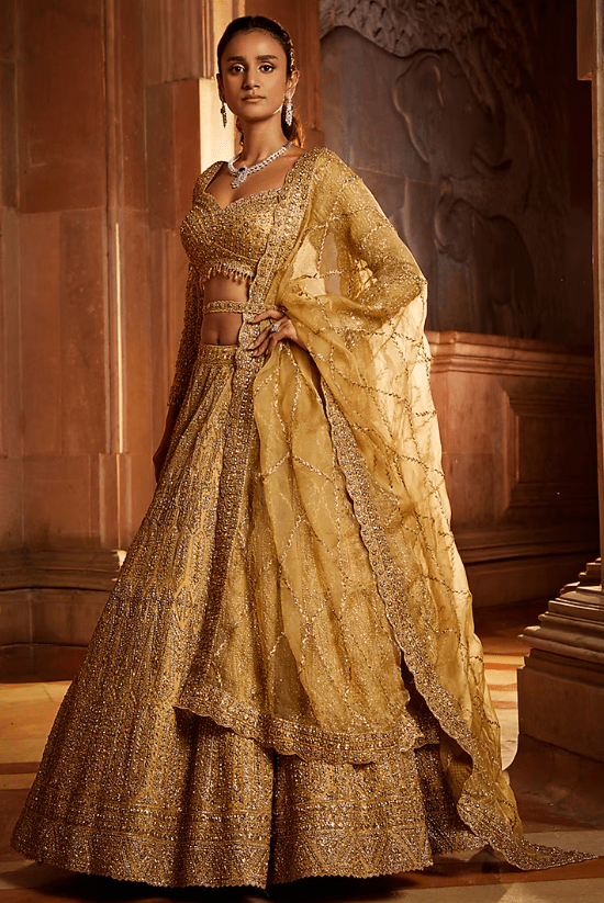Gold Organza Embroidered Lehenga Set