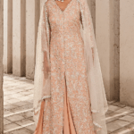 Salmon Pink Georgette & Net Lehenga Set