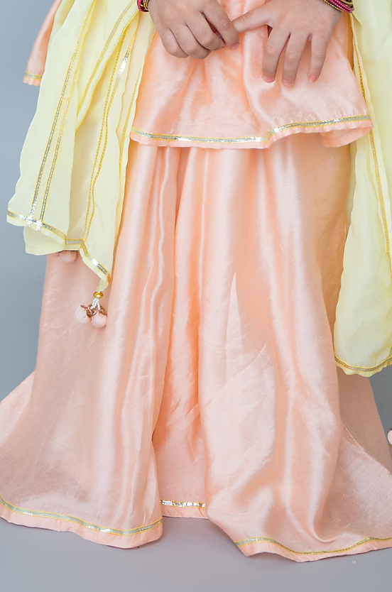 Peach Organic Cotton & Handwoven Chanderi Sharara Set For Girls - Image 3