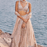 Salmon Pink Organza Sequins Embellished Lehenga Set