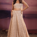 Peach Organza Moti Work Lehenga Set