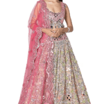 Multi-Colored Net Embroidered Lehenga Set
