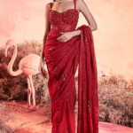 Red Organza Hand Embroidered Saree Set