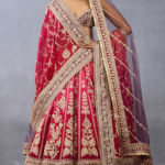 Ombre Jeni Silk & Organza Embroidered Lehenga Set