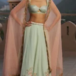 Powder Blue Crepe Silk Lehenga