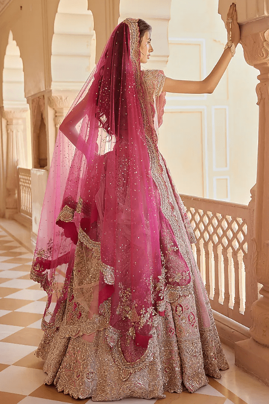 Tea Rose Raw silk Organza Dori Embroidered Handcrafted Lehenga Set - Image 2