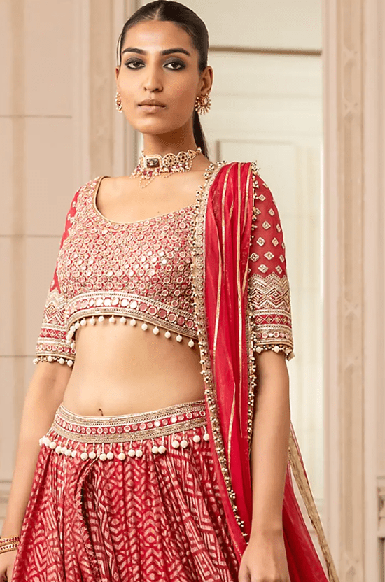Cadmium Red Pearl Embroidered Kalidar Lehenga Set - Image 4