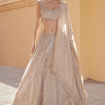 Beige Champagne Tissue Silk Zardosi Embroidered Handcrafted Lehenga Set