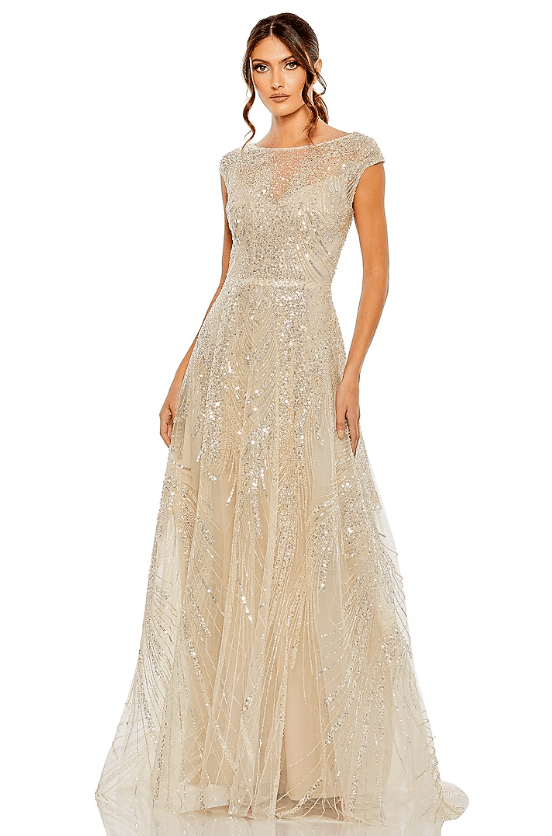 Nude Silver Net Embellished A-Line Gown