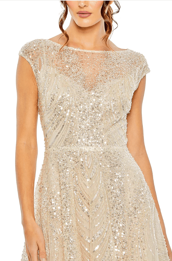 Nude Silver Net Embellished A-Line Gown - Image 3