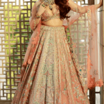 Coral Organza Zardosi Embroidered Lehenga Set