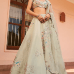 Dusty Olive Tissue Embroidered Lehenga Set