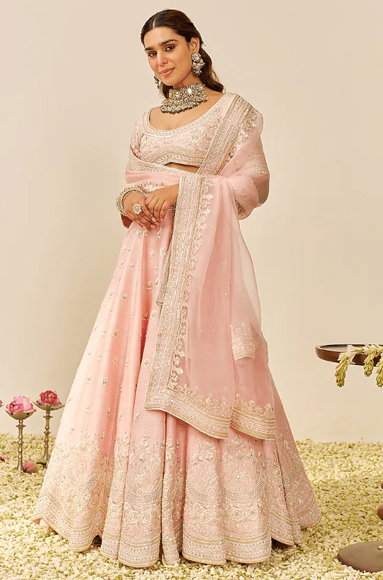 Blush Pink Raw Silk Kashmiri Tilla Embroidered Lehenga Set