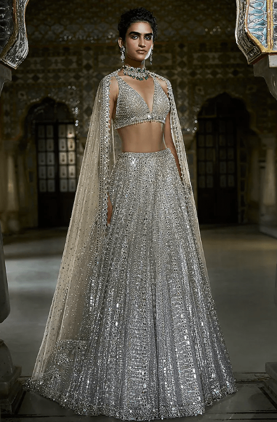 Champagne Silver Net Mirror Work Lehenga Set