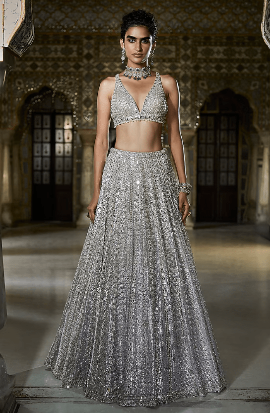 Champagne Silver Net Mirror Work Lehenga Set - Image 2