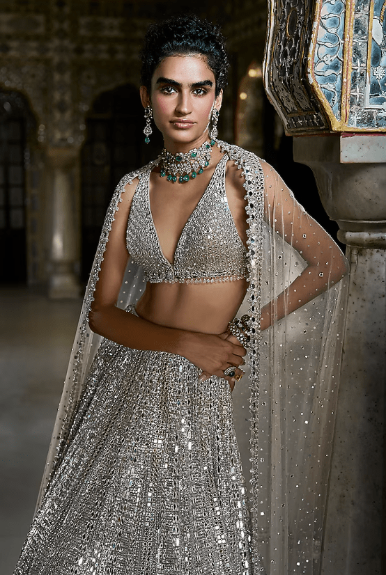 Champagne Silver Net Mirror Work Lehenga Set - Image 3