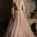 Champagne Net Crystal Embroidered Lehenga Set
