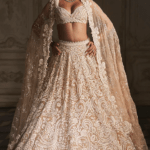 Nude Organza Crystal & Pearl Embroidered Lehenga Set