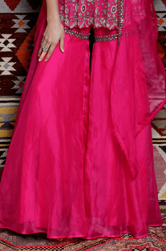 Fuchsia Tulle Sharara Set - Image 3
