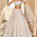 Ivory Net Pearl Embroidered Lehenga Set