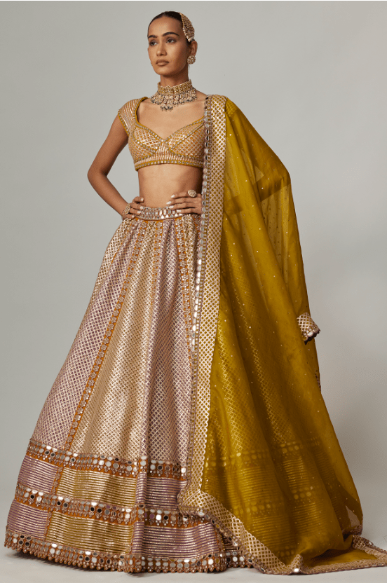 Multi-Colored Georgette Gota Embroidered Lehenga Set