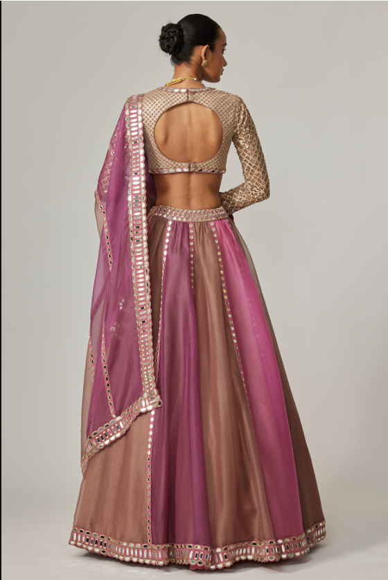 Multi-Colored Organza Gota Embroidered Lehenga Set - Image 2
