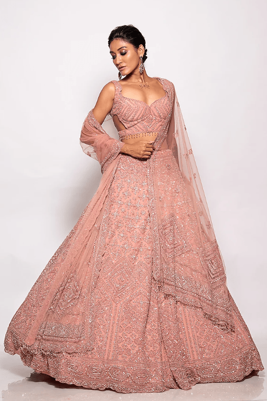 Onion Pink Tulle Embroidered Lehenga Set