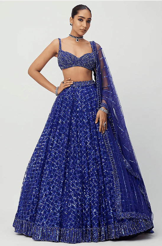 Blue Net Hand Embroidered Lehenga Set