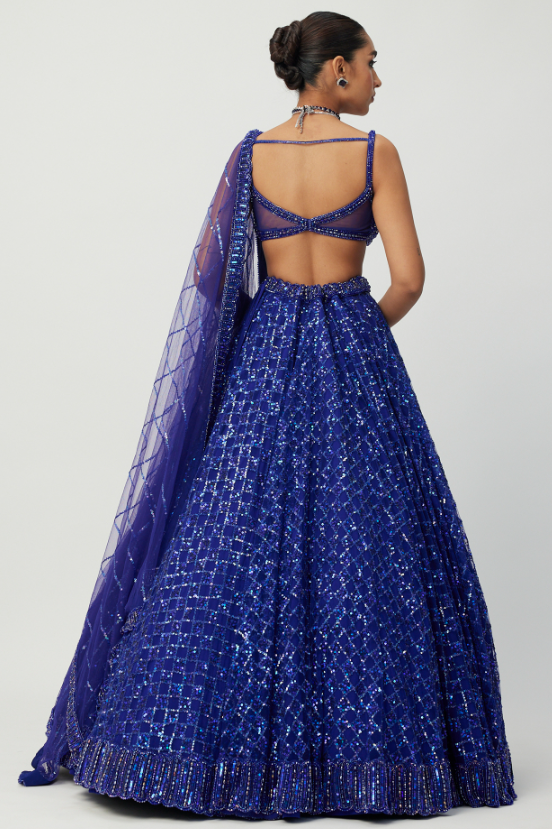 Blue Net Hand Embroidered Lehenga Set - Image 2