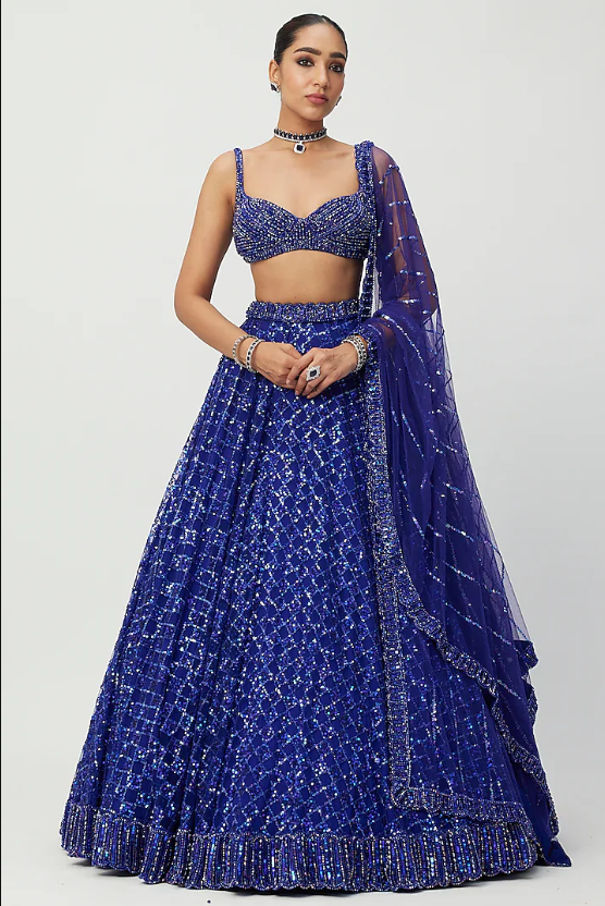 Blue Net Hand Embroidered Lehenga Set - Image 4