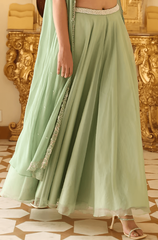 Mint Green Organza Sharara Set - Image 3
