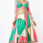 Multi-Colored Embroidered Half-Lehenga Set