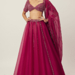 Ruby-Red Organza Sequins Hand Embroidered Lehenga Set