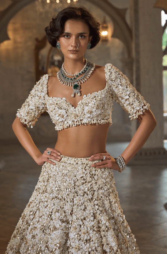 Ivory Net Crystal Lehenga Set - Image 4