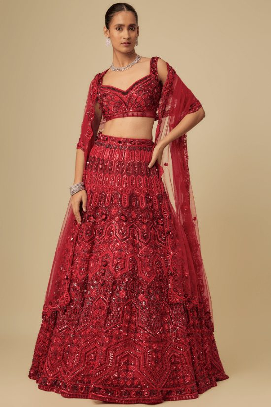 Deep Red Net Hand Embroidered Lehenga Set