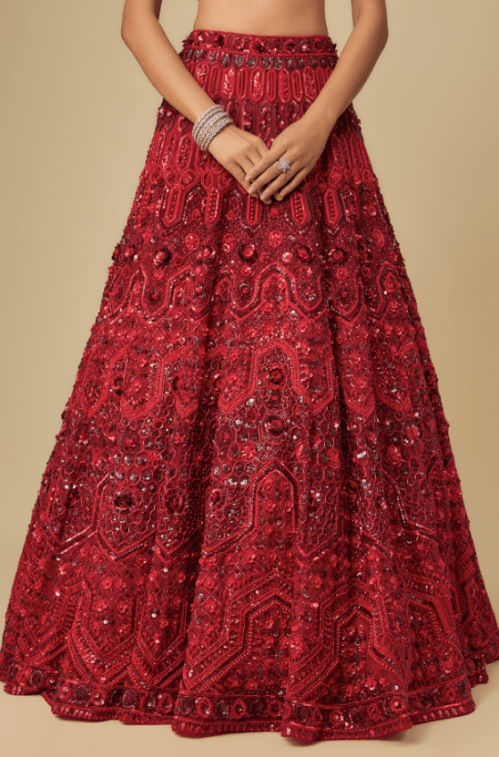 Deep Red Net Hand Embroidered Lehenga Set - Image 3